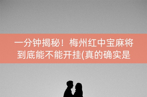 一分钟揭秘！梅州红中宝麻将到底能不能开挂(真的确实是有挂)