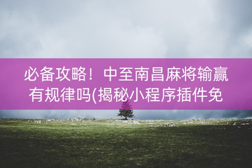 必备攻略！中至南昌麻将输赢有规律吗(揭秘小程序插件免费)