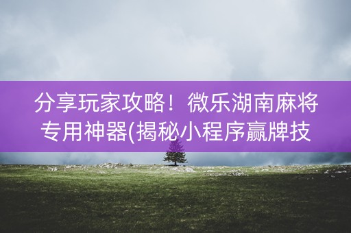 分享玩家攻略！微乐湖南麻将专用神器(揭秘小程序赢牌技巧)