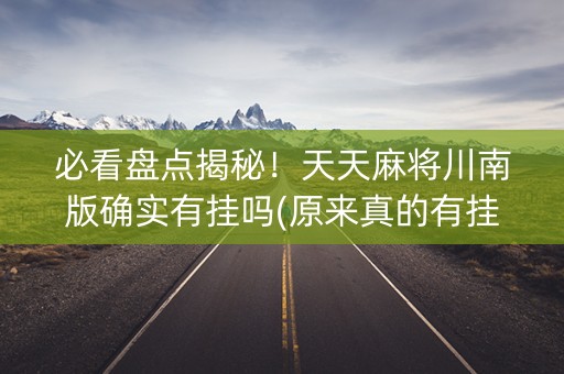 必看盘点揭秘！天天麻将川南版确实有挂吗(原来真的有挂)