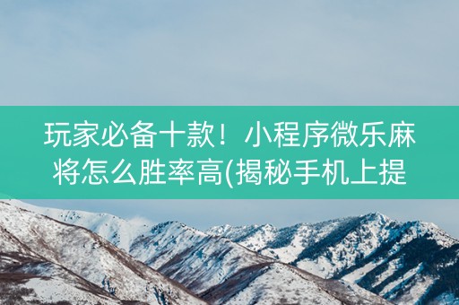 玩家必备十款！小程序微乐麻将怎么胜率高(揭秘手机上提高胜率)
