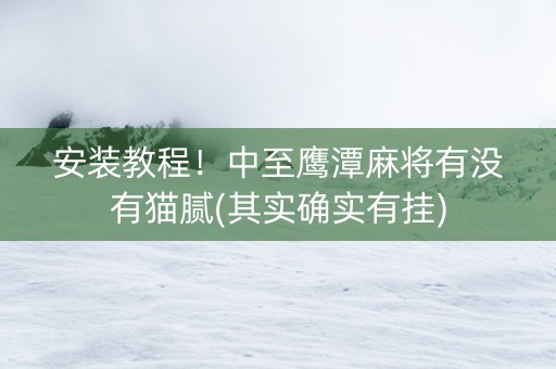 安装教程！中至鹰潭麻将有没有猫腻(其实确实有挂)