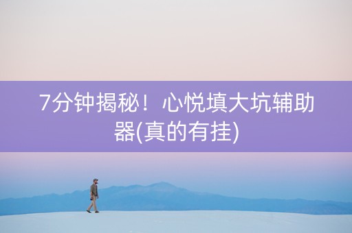 7分钟揭秘！心悦填大坑辅助器(真的有挂)