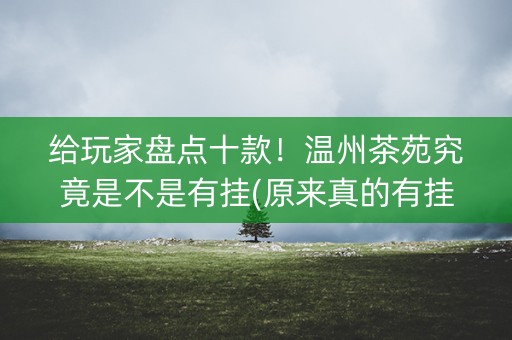 给玩家盘点十款！温州茶苑究竟是不是有挂(原来真的有挂)