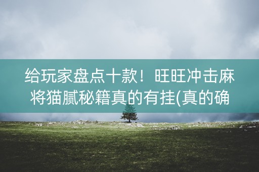 给玩家盘点十款！旺旺冲击麻将猫腻秘籍真的有挂(真的确实是有挂)