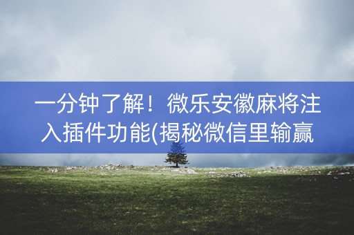 一分钟了解！微乐安徽麻将注入插件功能(揭秘微信里输赢规律)