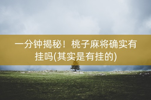 一分钟揭秘！桃子麻将确实有挂吗(其实是有挂的)