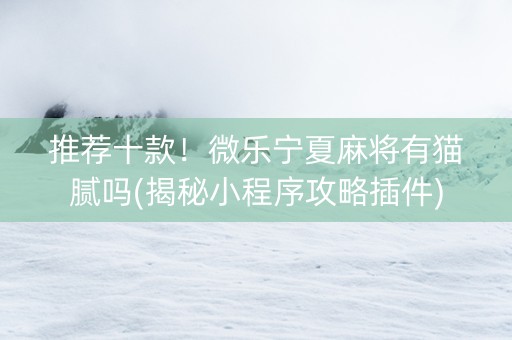 推荐十款！微乐宁夏麻将有猫腻吗(揭秘小程序攻略插件)
