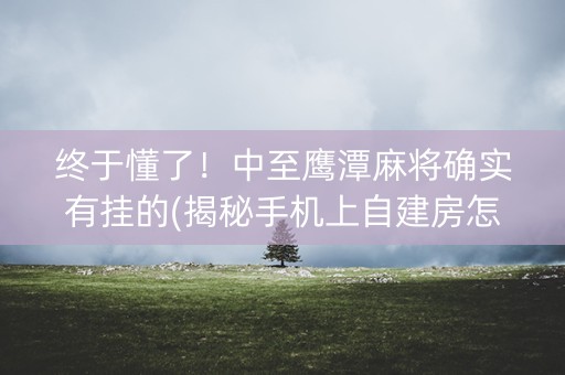 终于懂了！中至鹰潭麻将确实有挂的(揭秘手机上自建房怎么赢)