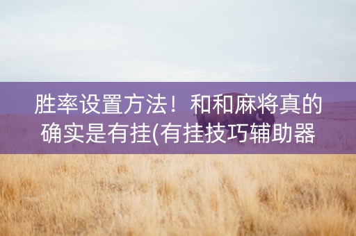 胜率设置方法！和和麻将真的确实是有挂(有挂技巧辅助器)