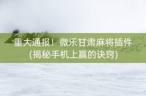 重大通报！微乐甘肃麻将插件(揭秘手机上赢的诀窍)