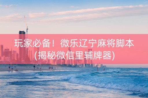 玩家必备！微乐辽宁麻将脚本(揭秘微信里辅牌器)