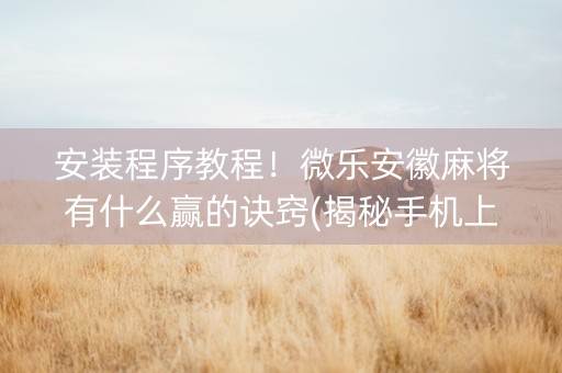 安装程序教程！微乐安徽麻将有什么赢的诀窍(揭秘手机上赢的诀窍)