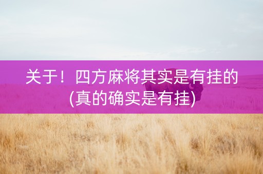 关于！四方麻将其实是有挂的(真的确实是有挂)