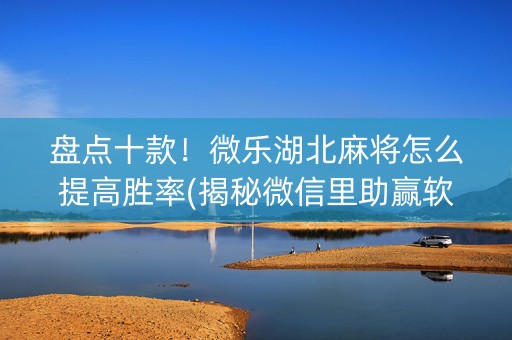盘点十款！微乐湖北麻将怎么提高胜率(揭秘微信里助赢软件)