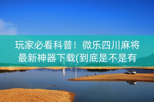 玩家必看科普！微乐四川麻将最新神器下载(到底是不是有挂)