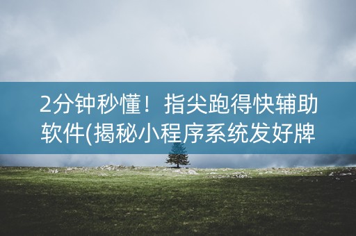 2分钟秒懂！指尖跑得快辅助软件(揭秘小程序系统发好牌)