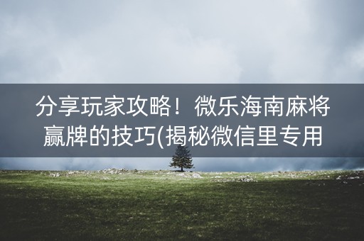 分享玩家攻略！微乐海南麻将赢牌的技巧(揭秘微信里专用神器下载)