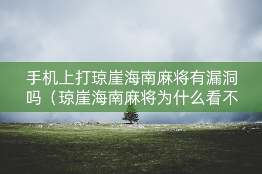 手机上打琼崖海南麻将有漏洞吗（琼崖海南麻将为什么看不了战绩）