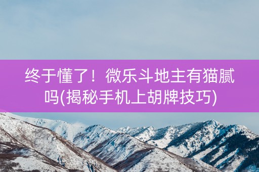 终于懂了！微乐斗地主有猫腻吗(揭秘手机上胡牌技巧)