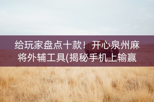 给玩家盘点十款！开心泉州麻将外辅工具(揭秘手机上输赢技巧)