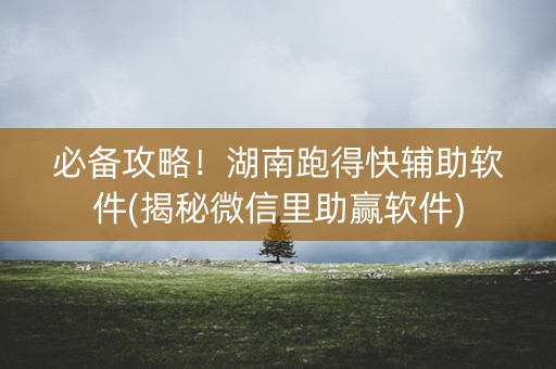 必备攻略！湖南跑得快辅助软件(揭秘微信里助赢软件)