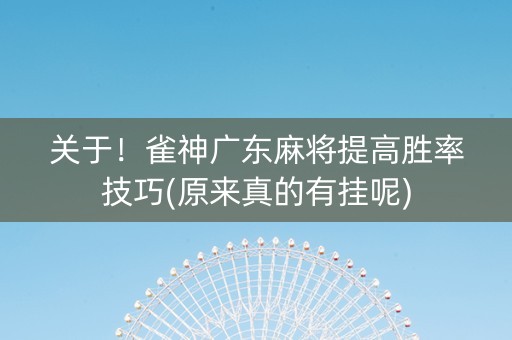 关于！雀神广东麻将提高胜率技巧(原来真的有挂呢)