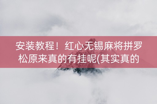 安装教程！红心无锡麻将拼罗松原来真的有挂呢(其实真的确实有挂)