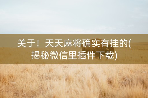 关于！天天麻将确实有挂的(揭秘微信里插件下载)
