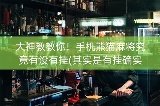 大神教教你！手机熊猫麻将究竟有没有挂(其实是有挂确实有挂)