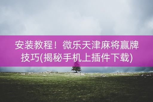 安装教程！微乐天津麻将赢牌技巧(揭秘手机上插件下载)