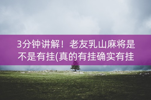 3分钟讲解！老友乳山麻将是不是有挂(真的有挂确实有挂)