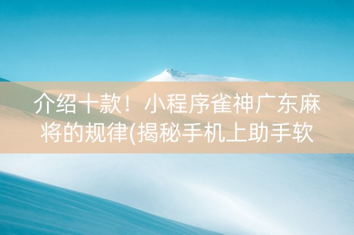 介绍十款！小程序雀神广东麻将的规律(揭秘手机上助手软件)