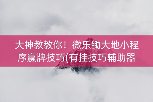 大神教教你！微乐锄大地小程序赢牌技巧(有挂技巧辅助器)