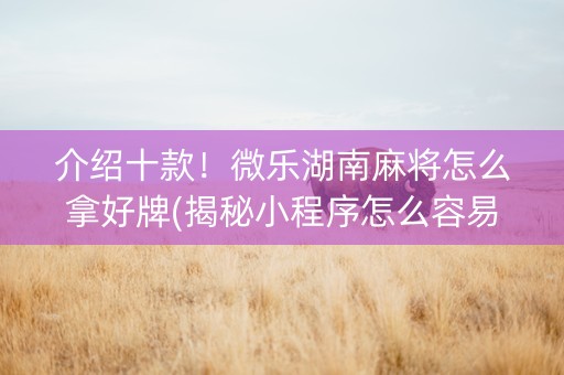 介绍十款！微乐湖南麻将怎么拿好牌(揭秘小程序怎么容易赢)