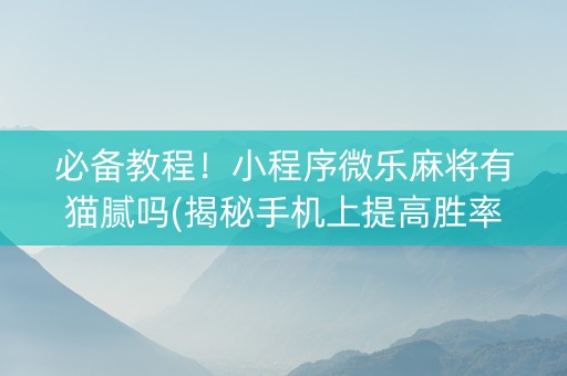必备教程！小程序微乐麻将有猫腻吗(揭秘手机上提高胜率)