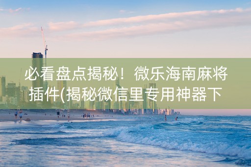 必看盘点揭秘！微乐海南麻将插件(揭秘微信里专用神器下载)