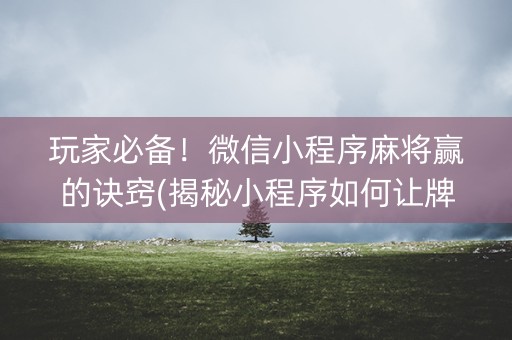 玩家必备！微信小程序麻将赢的诀窍(揭秘小程序如何让牌变好)