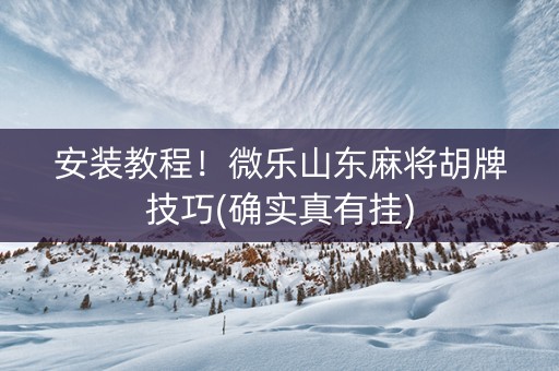 安装教程！微乐山东麻将胡牌技巧(确实真有挂)