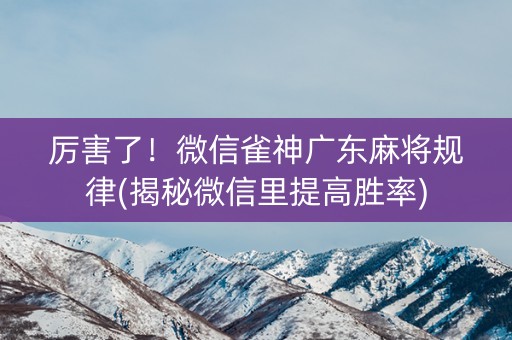 厉害了！微信雀神广东麻将规律(揭秘微信里提高胜率)