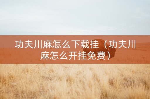 功夫川麻怎么下载挂（功夫川麻怎么开挂免费）