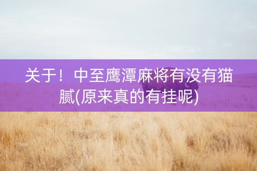 关于！中至鹰潭麻将有没有猫腻(原来真的有挂呢)