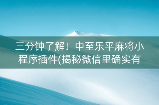 三分钟了解！中至乐平麻将小程序插件(揭秘微信里确实有猫腻)