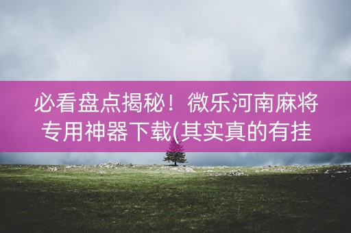 必看盘点揭秘！微乐河南麻将专用神器下载(其实真的有挂)
