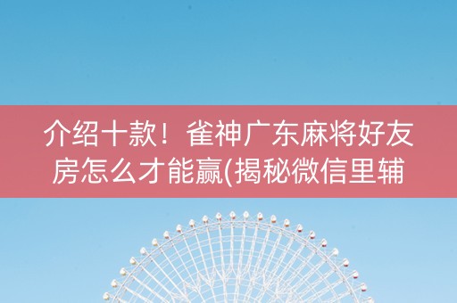 介绍十款！雀神广东麻将好友房怎么才能赢(揭秘微信里辅牌器)