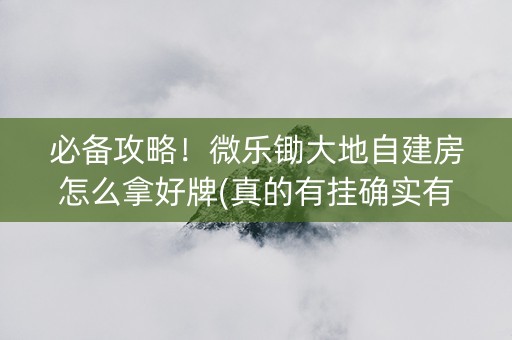 必备攻略！微乐锄大地自建房怎么拿好牌(真的有挂确实有挂)