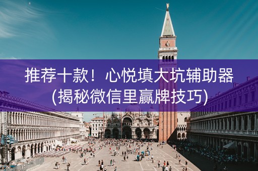 推荐十款！心悦填大坑辅助器(揭秘微信里赢牌技巧)