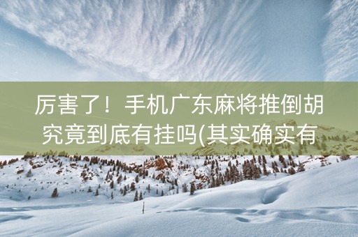 厉害了！手机广东麻将推倒胡究竟到底有挂吗(其实确实有挂)