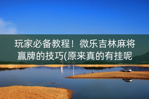 玩家必备教程！微乐吉林麻将赢牌的技巧(原来真的有挂呢)