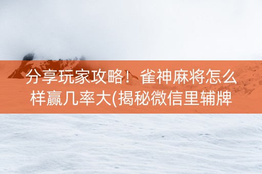 分享玩家攻略！雀神麻将怎么样赢几率大(揭秘微信里辅牌器)